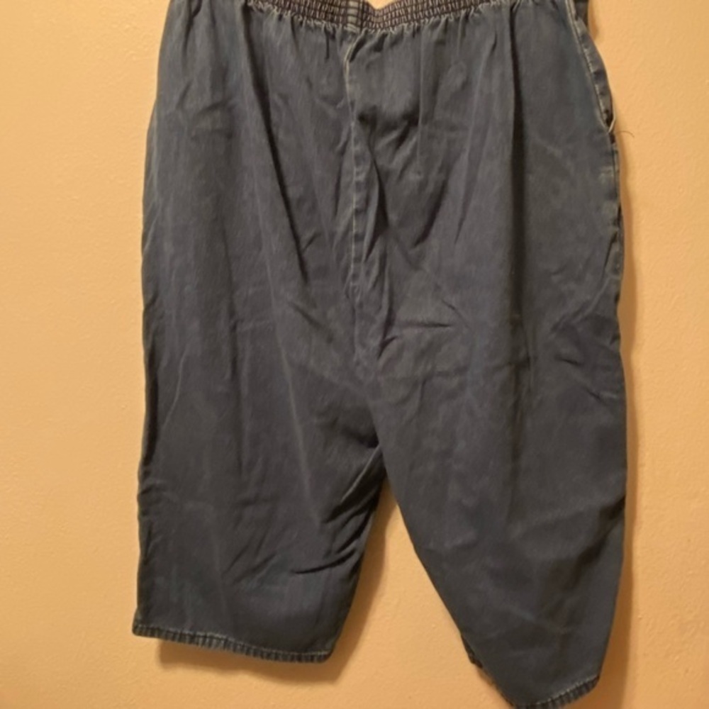 Chic Shorts Women’s 24W Average 24W‎ Regular Blue Jean Stretch Pull On Po…